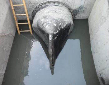 鴨嘴閥使用案例